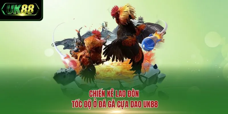 Chiến kê lao đòn tốc độ ở đá gà cựa dao UK88