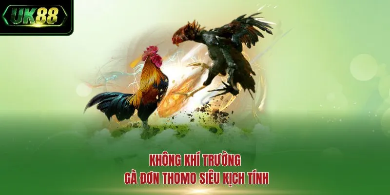 Không khí trường gà đơn Thomo siêu kịch tính
