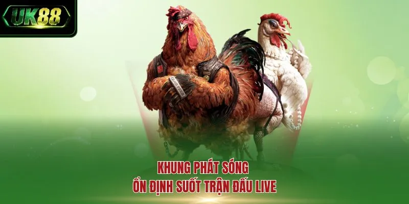 Khung phát sóng ổn định suốt trận đấu live