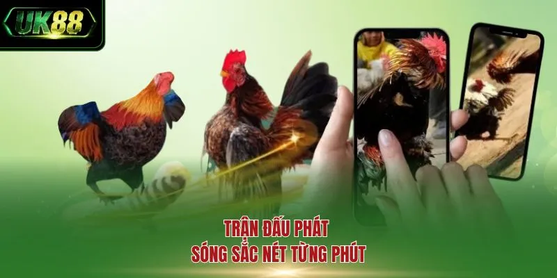 Trận đấu phát sóng sắc nét từng phút