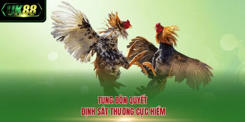 Tung đòn quyết định sát thương cực hiểm